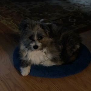 Meet your Posher, Beatriz